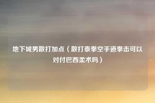 地下城男散打加点（散打泰拳空手道拳击可以对付巴西柔术吗）