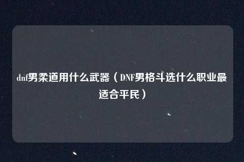 dnf男柔道用什么武器（DNF男格斗选什么职业最适合平民）
