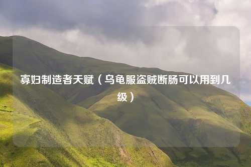 寡妇制造者天赋（乌龟服盗贼断肠可以用到几级）