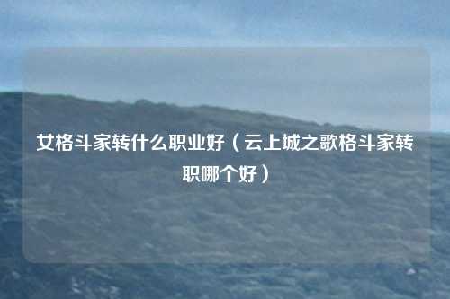 女格斗家转什么职业好（云上城之歌格斗家转职哪个好）