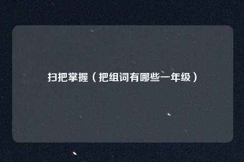 扫把掌握（把组词有哪些一年级）