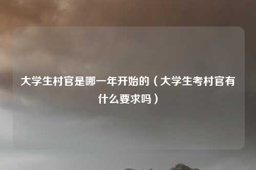 大学生村官是哪一年开始的（大学生考村官有什么要求吗）