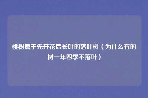 桃树属于先开花后长叶的落叶树(为什么有的树一年四季不落叶)