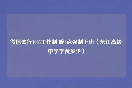 微信试行1065工作制 晚6点强制下班(东江高级中学学费多少)