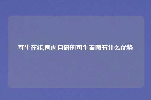 可牛在线,国内自研的可牛看图有什么优势