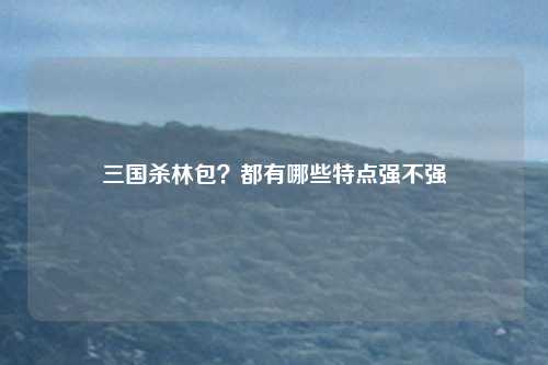 三国杀林包?都有哪些特点强不强