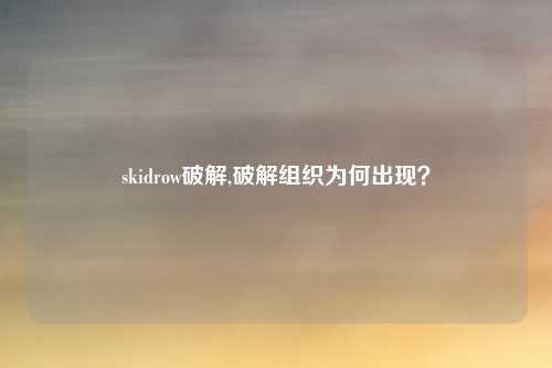 skidrow破解,破解组织为何出现？