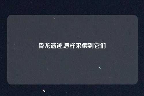 骨龙遗迹,怎样采集到它们