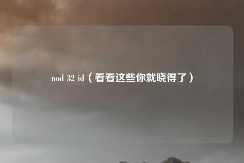 nod 32 id（看看这些你就晓得了）