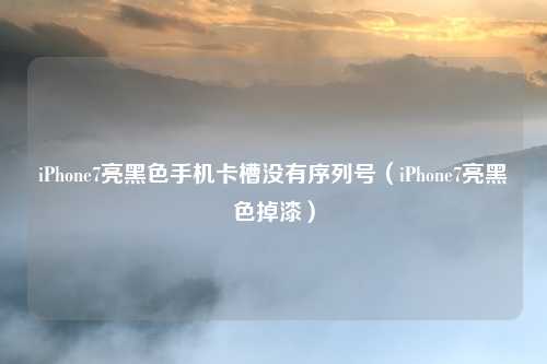 iPhone7亮黑色手机卡槽没有序列号（iPhone7亮黑色掉漆）