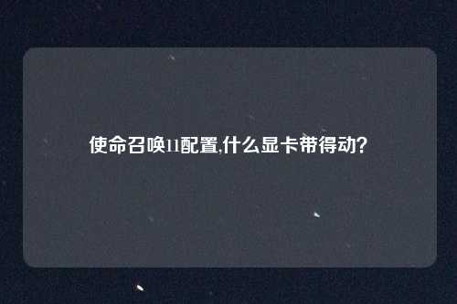 使命召唤11配置,什么显卡带得动？