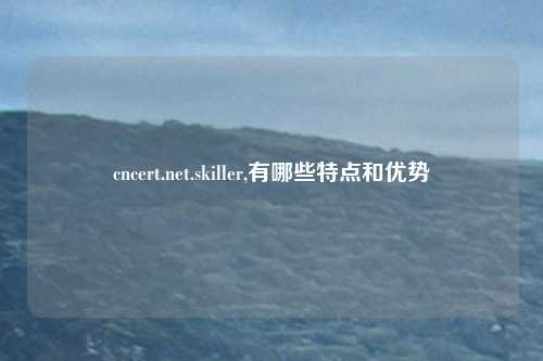 cncert.net.skiller,有哪些特点和优势