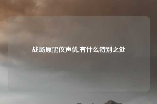 战场原黑仪声优,有什么特别之处