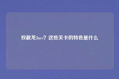 双截龙3nes?这些关卡的特色是什么