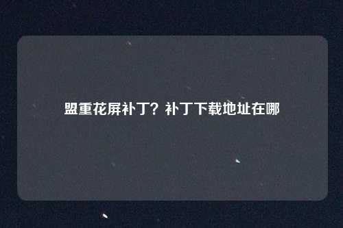 盟重花屏补丁?补丁下载地址在哪
