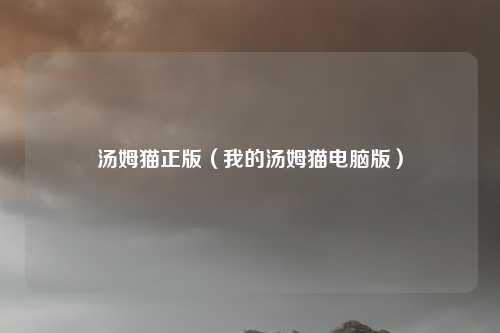 汤姆猫正版（我的汤姆猫电脑版）