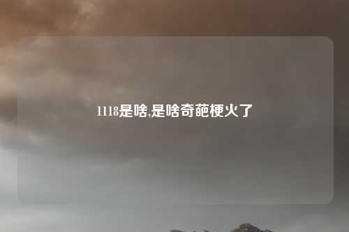 1118是啥,是啥奇葩梗火了