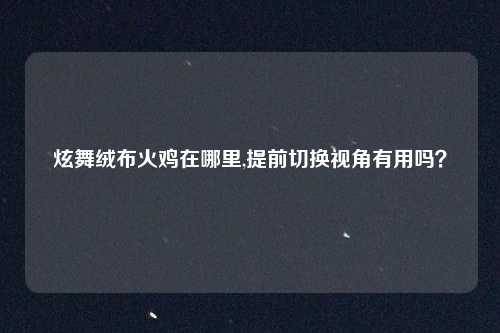 炫舞绒布火鸡在哪里,提前切换视角有用吗?