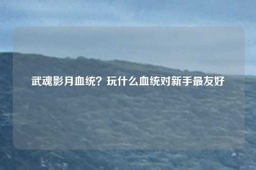 武魂影月血统?玩什么血统对新手最友好