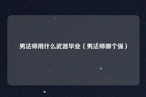 男法师用什么武器毕业（男法师哪个强）