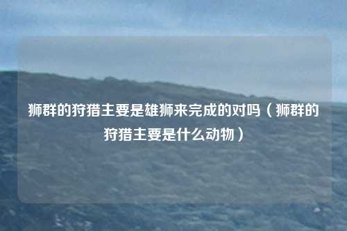 狮群的狩猎主要是雄狮来完成的对吗（狮群的狩猎主要是什么动物）