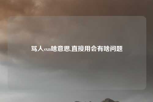 骂人sxn啥意思,直接用会有啥问题
