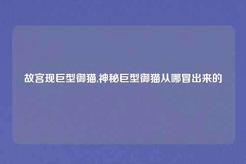 故宫现巨型御猫,神秘巨型御猫从哪冒出来的