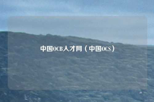 中国OCB人才网（中国OCS）