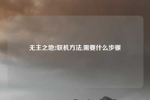 无主之地2联机方法,需要什么步骤