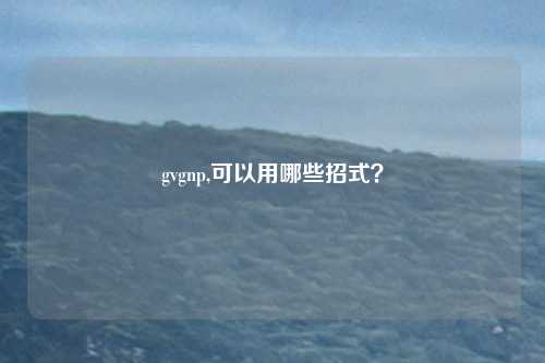gvgnp,可以用哪些招式？