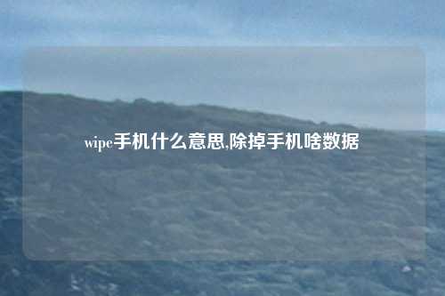 wipe手机什么意思,除掉手机啥数据