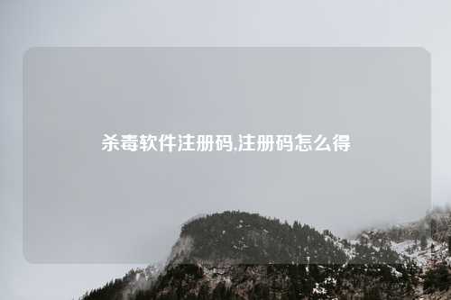 杀毒软件注册码,注册码怎么得