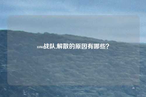 ssw战队,解散的原因有哪些？