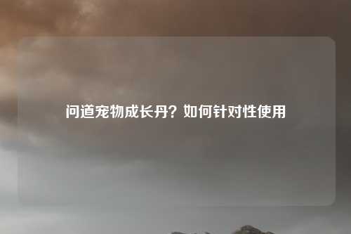 问道宠物成长丹？如何针对性使用