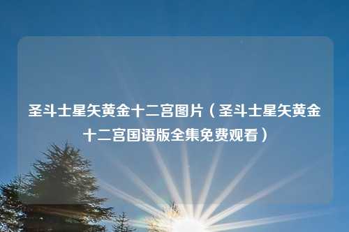 圣斗士星矢黄金十二宫图片（圣斗士星矢黄金十二宫国语版全集免费观看）