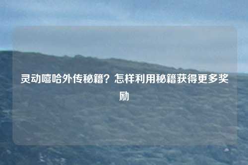 灵动嘻哈外传秘籍？怎样利用秘籍获得更多奖励