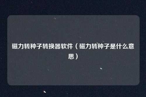 磁力转种子转换器软件（磁力转种子是什么意思）