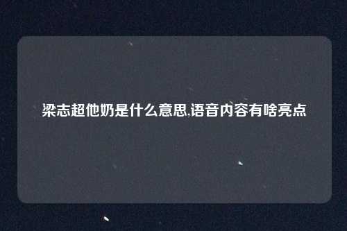 梁志超他奶是什么意思,语音内容有啥亮点