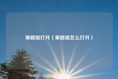 策略组打开（策略组怎么打开）