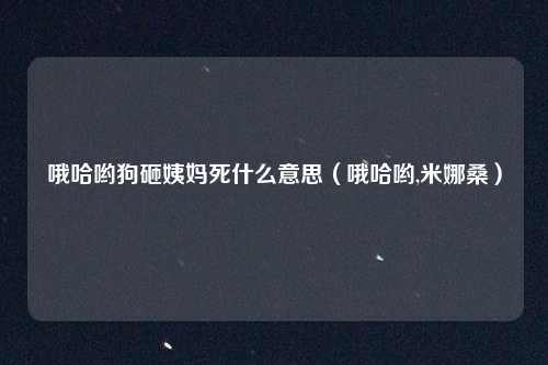 哦哈哟狗砸姨妈死什么意思（哦哈哟,米娜桑）