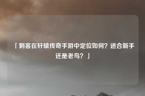 「刺客在轩辕传奇手游中定位如何？适合新手还是老鸟？」