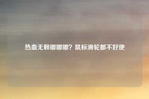 热血无赖嘟嘟嘟？鼠标滑轮都不好使
