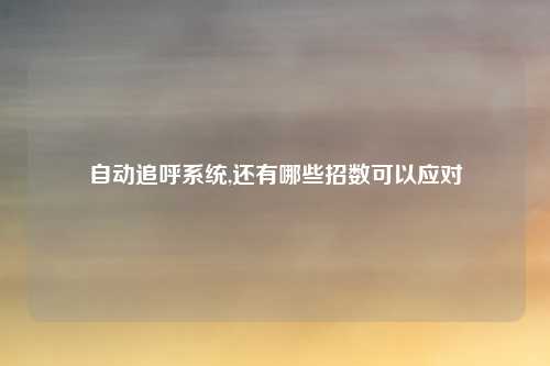 自动追呼系统,还有哪些招数可以应对