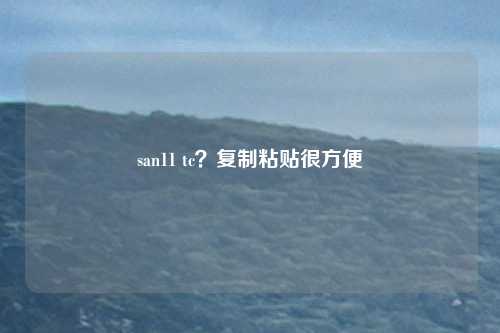 san11 tc？复制粘贴很方便