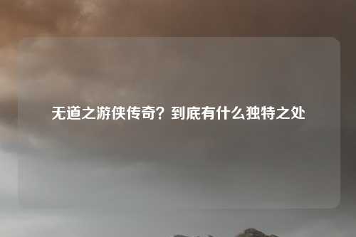 无道之游侠传奇?到底有什么独特之处