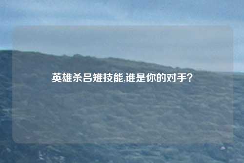 英雄杀吕雉技能,谁是你的对手？