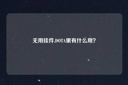 无用挂件,DOTA里有什么用?