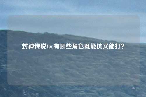 封神传说1.6,有哪些角色既能抗又能打？