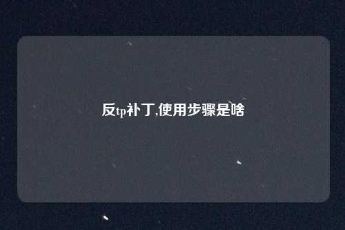反tp补丁,使用步骤是啥