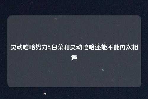 灵动嘻哈势力2,白菜和灵动嘻哈还能不能再次相遇